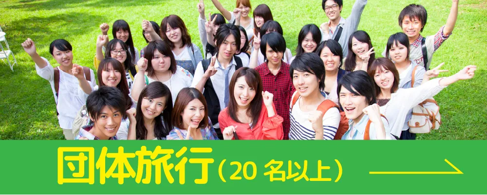 団体旅行(20名以上)