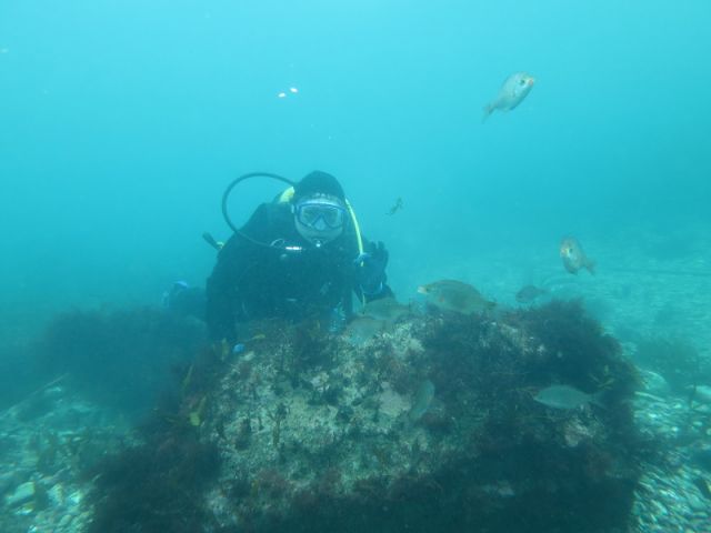 ダイビングショップかめはうす